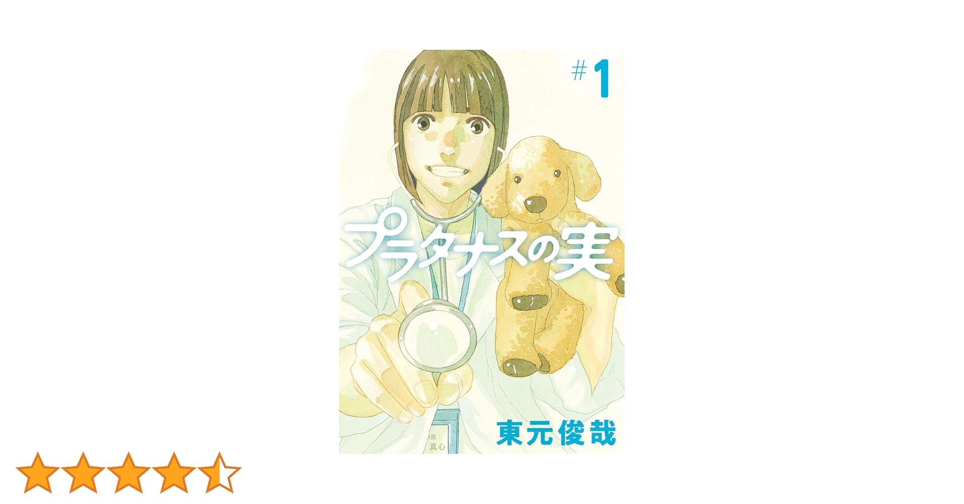 【完結】プラタナスの実【全10巻】／東元俊哉　※バラ売り不可 プラタナスの実（10） (ビッグコミックス) | 東元俊哉 | 青年